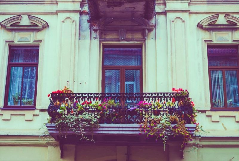 12 увивни и катерещи се цветя, идеални за парапета на балкона ви!