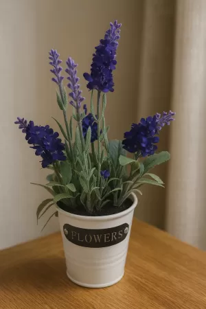 Саксия лавандула - 20 см.