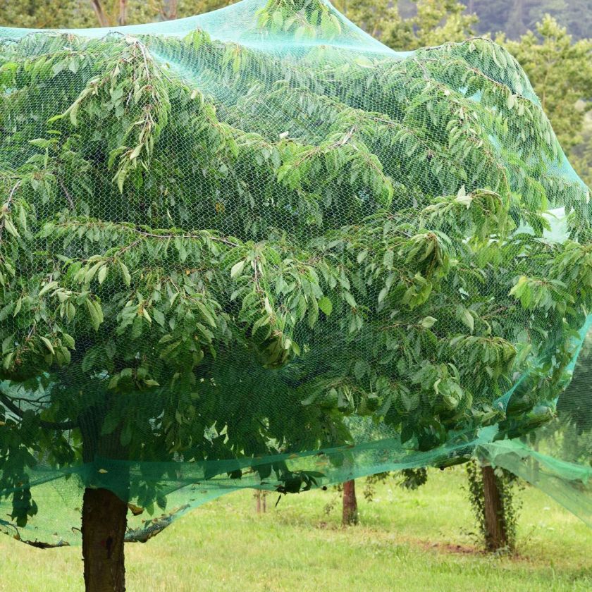 Защитна мрежа за растения и дървета - 7 х 1 м.