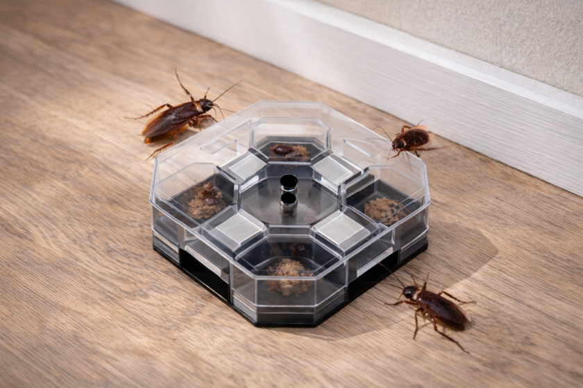 Капан за Хлебарки - 13.5 x 4.5 x 13.5 см.