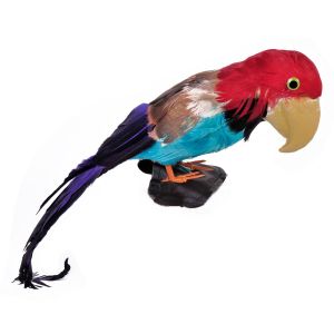 Карнавален аксесоар - папагал за пирати - 50 см.