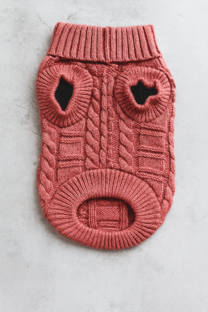 Пуловер за куче - тип поло